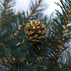 Гирлянда хвойная "Зимняя сказка с золотыми шишками" d-32 см, дл. 270 см - фото 26224282