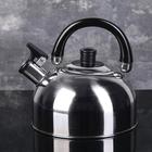 УЦЕНКА Чайник со свистком Доляна «Чёрная ночь», 1,9 л, фиксированная ручка - Фото 1