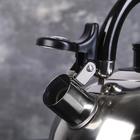 УЦЕНКА Чайник со свистком Доляна «Чёрная ночь», 1,9 л, фиксированная ручка - Фото 3