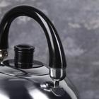 УЦЕНКА Чайник со свистком Доляна «Чёрная ночь», 1,9 л, фиксированная ручка - Фото 4