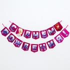 Гирлянда на ленте "C Днем Рождения", 176 см, Холодное Сердце - фото 31869575