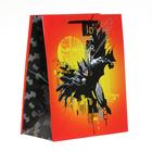 Пакет подарочный Batman, 180х223х100 мм, цвет оранжевый - фото 9305880