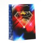 Пакет подарочный Superman, 220х310х100 мм - фото 9305893