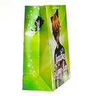 Пакет подарочный «Леди Баг», 335х406х155 мм, цвет красно-зеленый - Фото 3