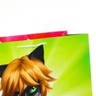 Пакет подарочный «Леди Баг», 335х406х155 мм, цвет красно-зеленый - Фото 4