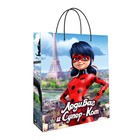 Пакет подарочный «Леди Баг и Супер-Кот», 220х310х100, голубой - Фото 1