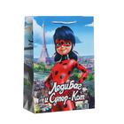 Пакет подарочный «Леди Баг и Супер-Кот», 220х310х100, голубой - Фото 2