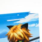 Пакет подарочный «Леди Баг и Супер-Кот», 220х310х100, голубой - Фото 4