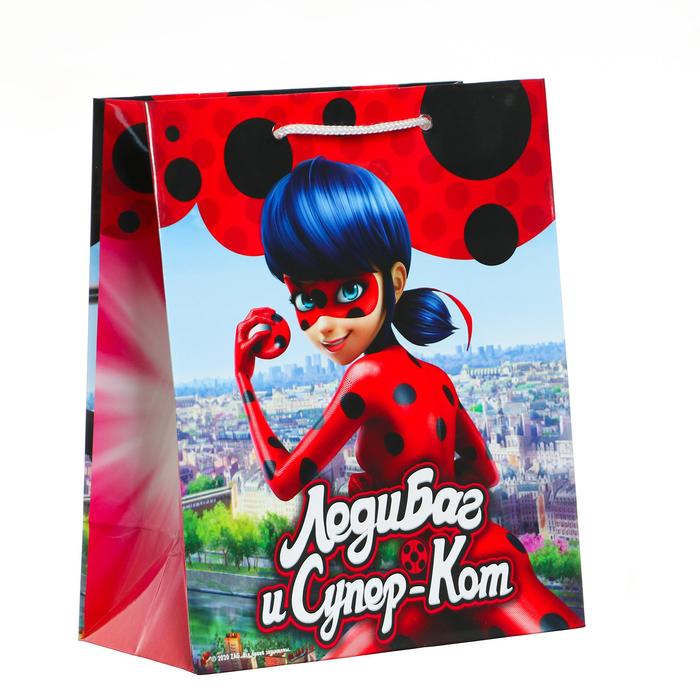 Пакет подарочный «Леди Баг и Супер-Кот», 180х223х100 см - Фото 1