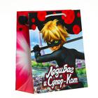 Пакет подарочный «Леди Баг и Супер-Кот», 180х223х100 см - Фото 2