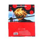 Пакет подарочный «Леди Баг и Супер-Кот», 180х223х100 см - Фото 5