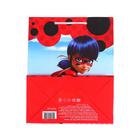 Пакет подарочный «Леди Баг и Супер-Кот. Маринет», 18 × 22,3 × 10 см - Фото 4