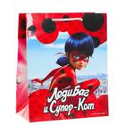 Пакет подарочный «Леди Баг и Супер-Кот. Маринет», 18 × 22,3 × 10 см - Фото 5