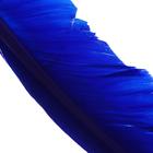 Ручка шариковая-прикол Перо МИКС (комплект 2 шт) - фото 41291656