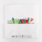 Пакет-коробка «Счастливого Нового года», 28 × 20 × 13 см - фото 804537118