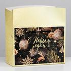 Пакет-коробка «Новогодняя ночь», 28 × 20 × 13 см - фото 8911953