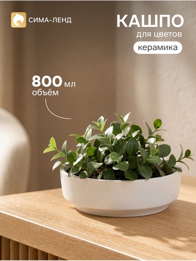Кашпо для бонсай, кактусов и суккулентов, 800 мл, d=15 см, h=5.5 см, керамическое, белое