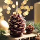 Свеча декоративная «Шишка новогодняя», 80×60 см - Фото 1