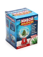 Набор для опытов «Новогодний флорариум» - Фото 13