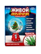 Набор для опытов «Новогодний флорариум» - Фото 14