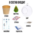 Набор для опытов «Новогодний флорариум» - Фото 3