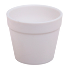 Набор для опытов «Новогодний флорариум» - Фото 5