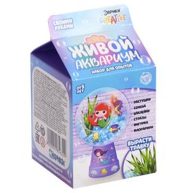 {{photo.Alt || photo.Description || 'УЦЕНКА Набор для опытов «Живой аквариум-флорариум», с русалочкой'}}