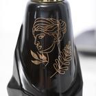 Дозатор для жидкого мыла «Венера», 250 мл. - Фото 3