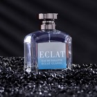 Туалетная вода мужская Classic Eclat Classic, 100 мл - фото 24379837