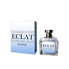 Туалетная вода мужская Classic Eclat Classic, 100 мл - фото 24379839