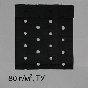 Материал мульчирующий, с перфорацией (4 ряда), 20 × 1,6 м, плотность 80 г/м², спанбонд с УФ-стабилизатором, чёрный, Greengo, Эконом 20%
