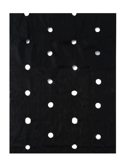 Материал мульчирующий, с перфорацией (4 ряда), 20 × 1,6 м, плотность 80 г/м², спанбонд с УФ-стабилизатором, чёрный, Greengo, Эконом 30%