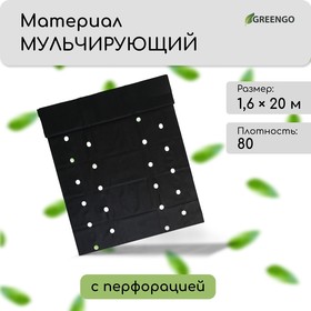 Материал мульчирующий, с перфорацией (4 ряда), 20 × 1,6 м, плотность 80 г/м², спанбонд с УФ-стабилизатором, чёрный, Greengo, Эконом 30% 5864808