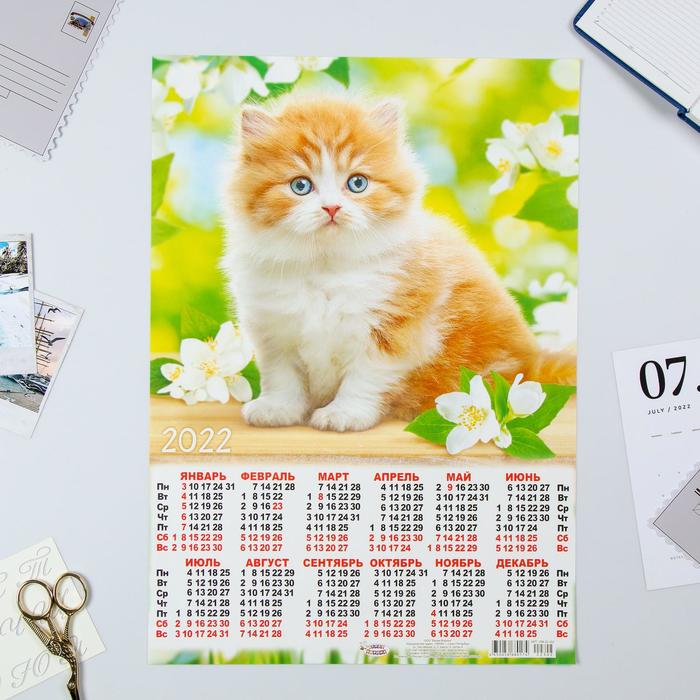 Календарь листовой А3 "Коты 2022 - 4" - Фото 1