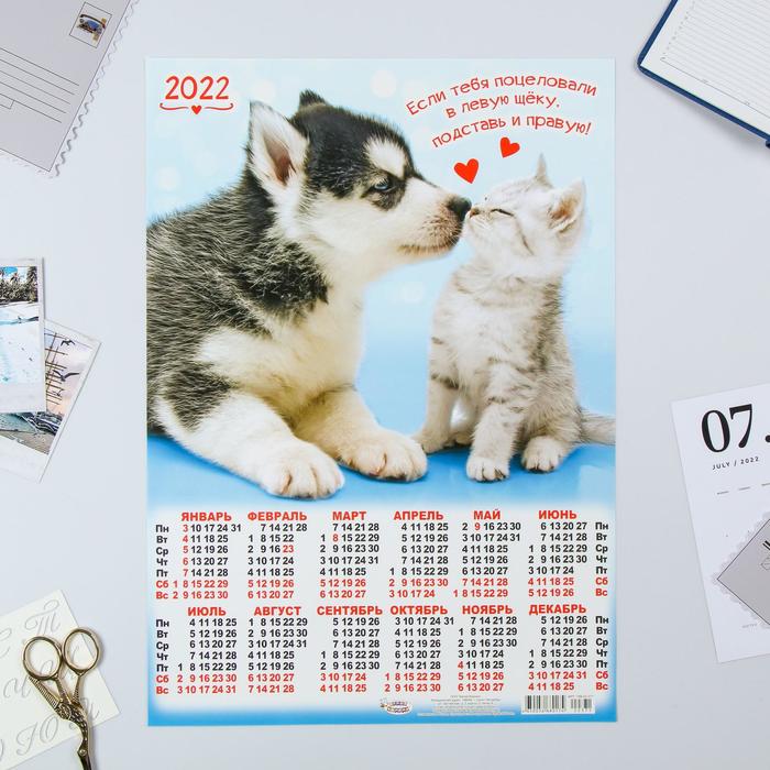 Календарь листовой А3 "Собаки и кошки 2022 - 2" - Фото 1