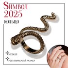 Новый год! Символ года 2025! Кольцо «Змея» анаконда, цвет золото, безразмерное 7104886 - фото 4125729