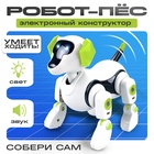 Робот «Robo-пёс» Эврики, электронный конструктор, интерактивный: звук, свет, на батарейках - Фото 1