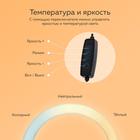 Набор Юного Блогера Windigo KIDS CB-98, лампа, MIC, пульт, СЗУ, линзы, переходники, чёрный - фото 51453526