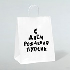 Пакет подарочный с приколами, крафт «Пупсик», белый, 24 х 14 х 30 см, набор 10 шт. - фото 9880775