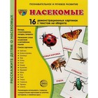 Демонстрационные картинки. Насекомые. 16 демонстрационных картинок с текстом. 174х220 мм 7124500 - фото 10904308