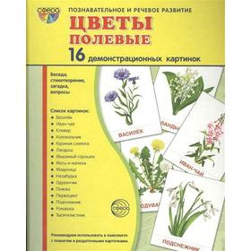 Демонстрационные картинки. Цветы полевые. 16 демонстрационных картинок с текстом. 174х220 мм