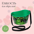 Ёмкость для сбора ягод, 3 л, «Смородина», зелёная - фото 9311159