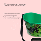 Ёмкость для сбора ягод, 3 л, «Смородина», зелёная - Фото 4