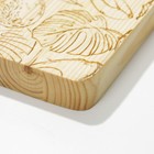 Доска разделочная «Авокадо», 15 × 24,7 × 2  см - фото 804540450