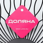 Фруктовница Доляна «Маргаритка», 27×27×9 см, чёрная - Фото 7