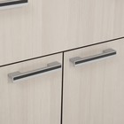 Комод Стандарт-4, 1200х460х828, Венге/Лоредо - Фото 5