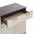 Комод Стандарт-4, 1200х460х828, Венге/Лоредо - Фото 6