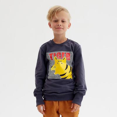 Свитшот для мальчика MINAKU: Casual Collection KIDS, цвет графит, рост 128 см