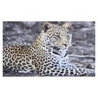 Картина на холсте "Грациозный леопард" 60х100 см - фото 301525536