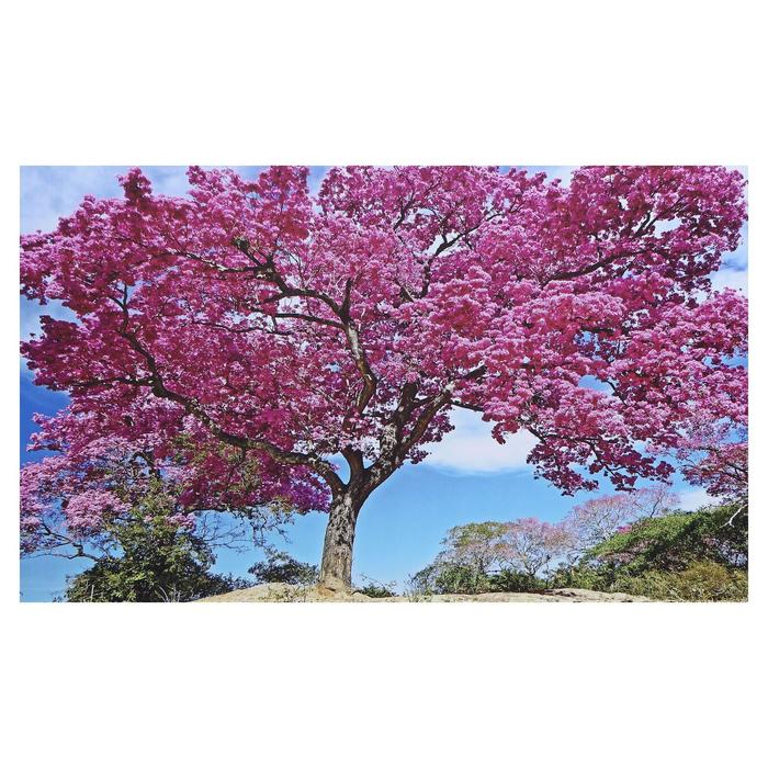 Картина на холсте "Муравьиное дерево" 60х100 см - Фото 1